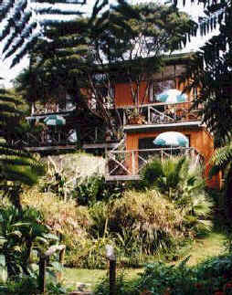 Punga Lodge Bed and Breakfast