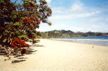 Onetangi Beach